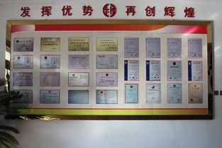 山東樂化 廢墟中站起來的漆業(yè)巨人